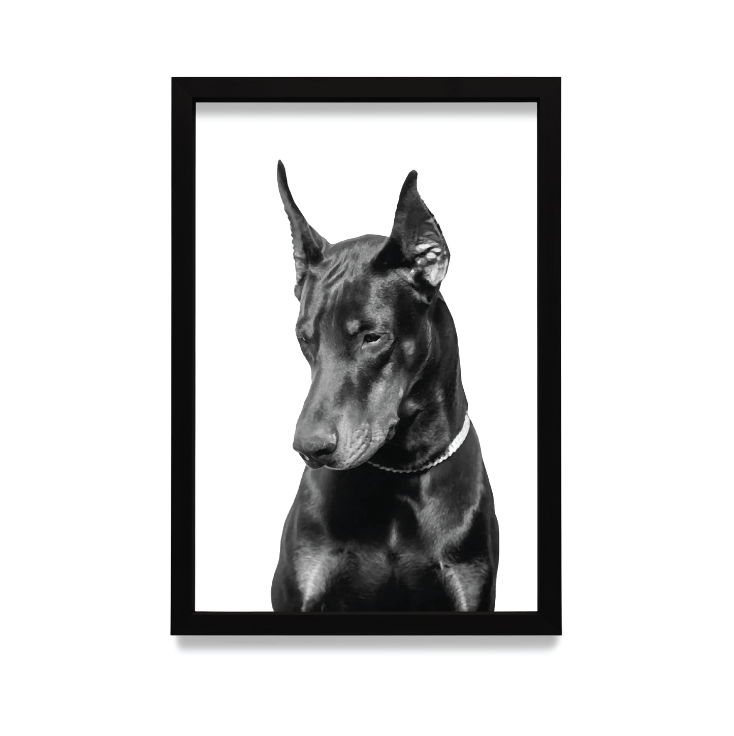 Plakat Doberman